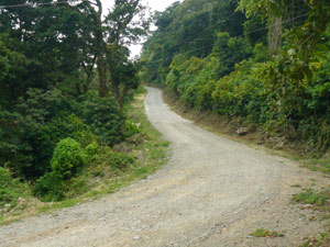 Just past the lodge entrance, the road to Monteverde is paved with concrete for most of the last 2 kilometers.